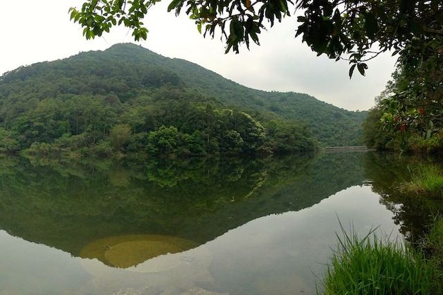 流水響、鶴藪水塘