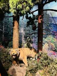 溫州烏岩嶺動物