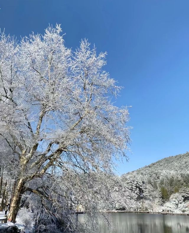 這個冬天總要來看看廬山的雪