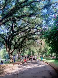 巴西聖保羅IBIRAPUERA公園必打卡