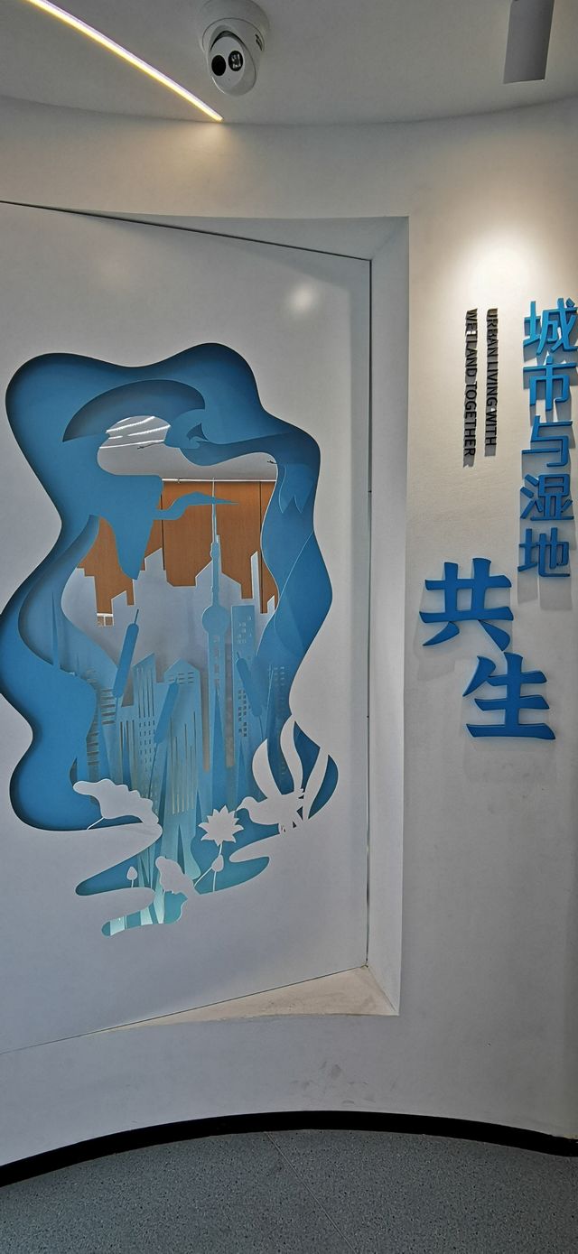 金海濕地科普館:上海市內首座城市濕地科普館 金海濕地科普館:上海市內首座城市濕地科普館