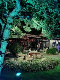 精彩夜場，花樣國潮-個園夜場