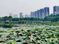 融入龍文化元素的～邯鄲龍湖公園