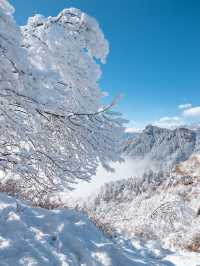 N刷西嶺雪山保姆級耍雪攻略