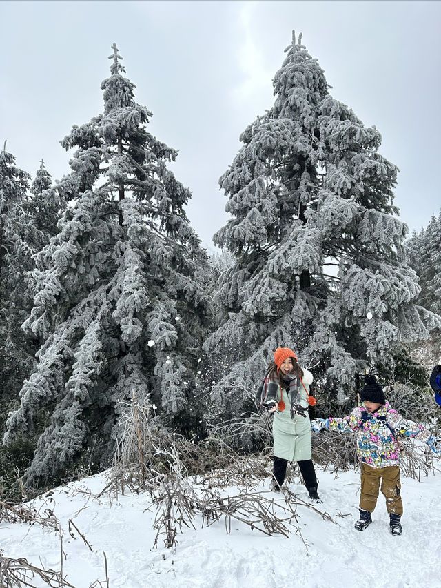 無需遠赴南方小土豆勇闖南國雪鄉攻略