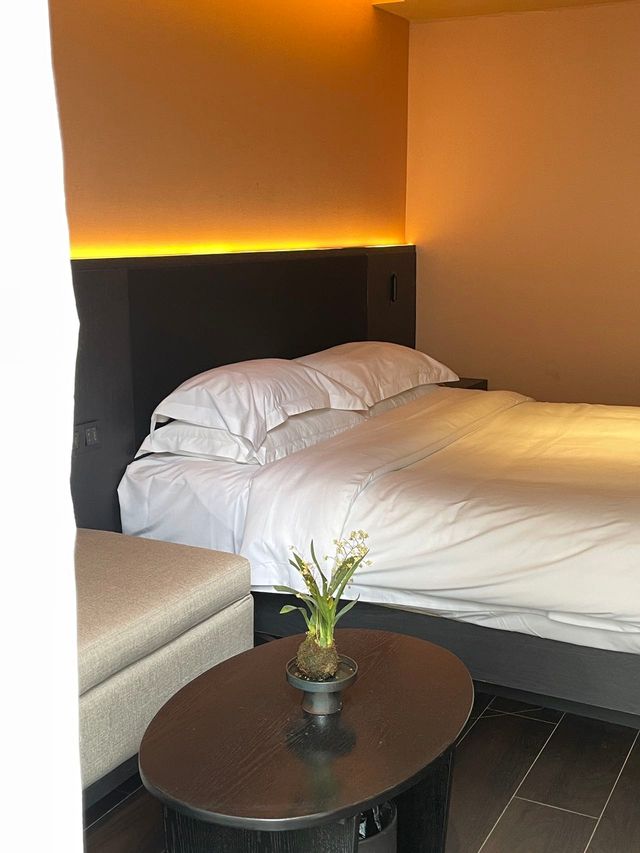 來長沙一定要住的寶藏酒店