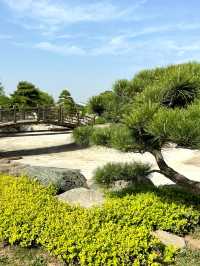 陝西西安唐苑新中式打卡地園林公園