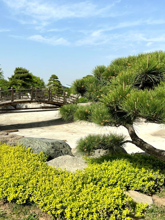 陝西西安唐苑新中式打卡地園林公園