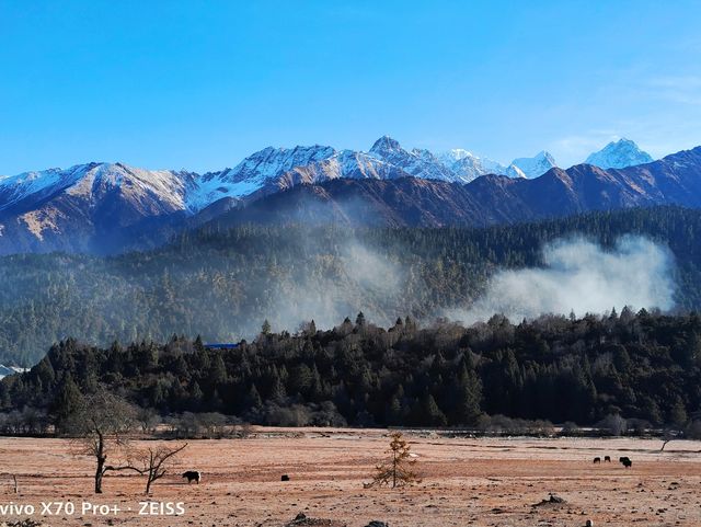 春節最具性價比的旅行目的地—西藏