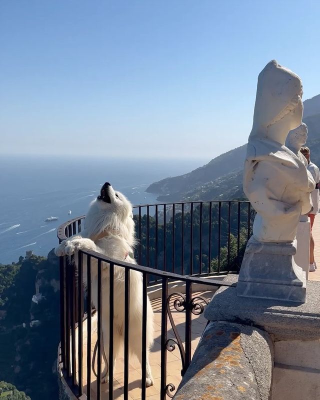 💫✨ SMILE and join Felix on an unforgettable adventure in Ravello, Amalfi Coast! 🇮🇹😍