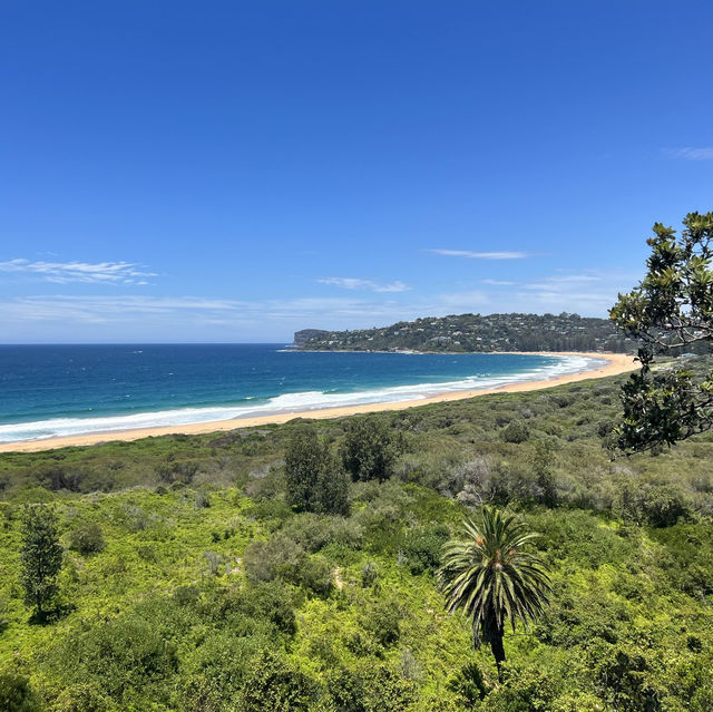 A Hidden Gem in Sydney 🏝️
