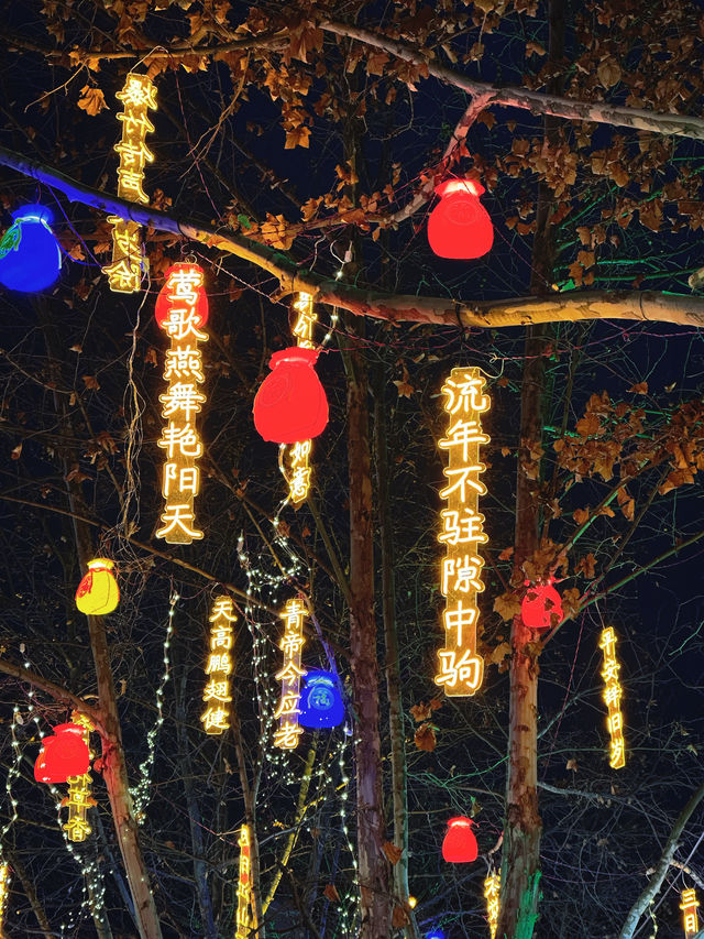 大德之州｜德州董子園步行街燈會之夜