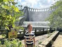 從上海自駕3小時到溧陽,天夜根本不夠玩!