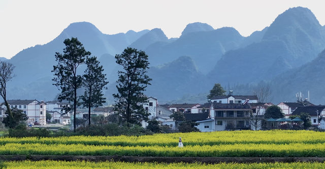 墜入萬峰林 吸滿自然能量