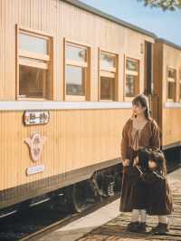 攜帶孩子在建水坐上了這趟開往春日的米軌小火車