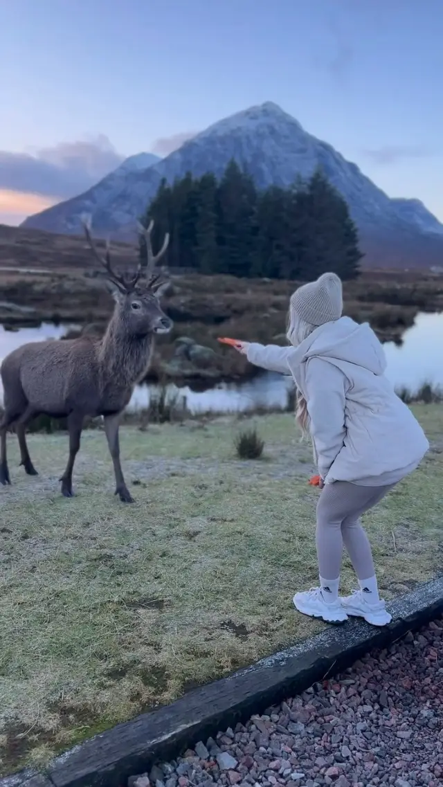 The cutest Scottish adventure