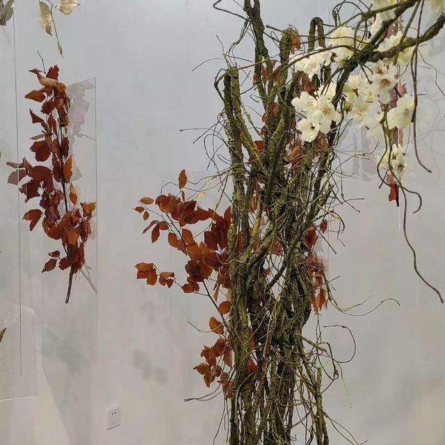成都免費看展還有兩天我們去拍照吧