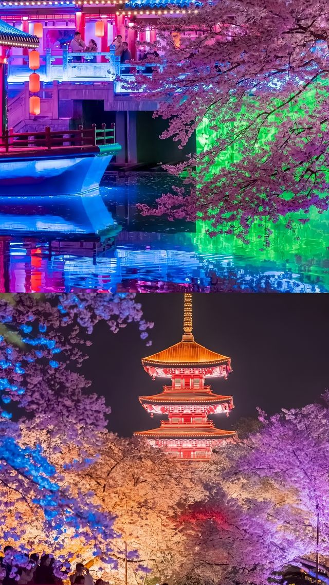 「武漢東湖櫻花園攻略：避開人潮，享受櫻花盛宴」