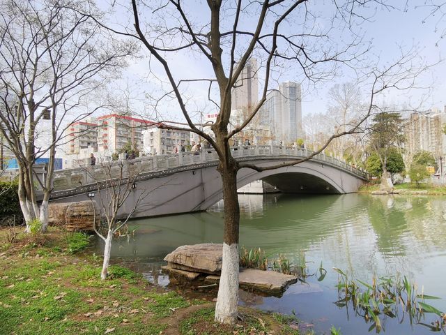 武漢青山公園免費看櫻花、海棠花、桃花