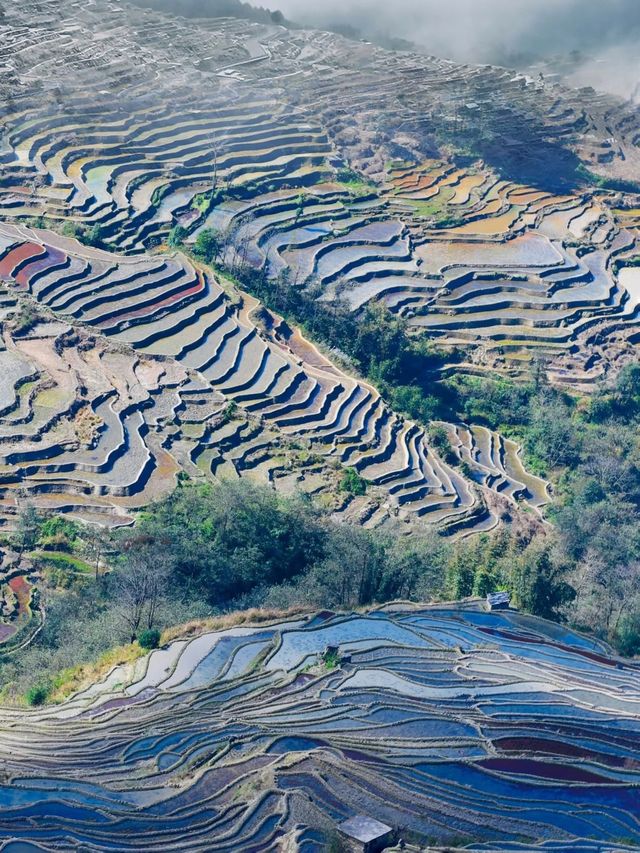 冬日裡的哈尼梯田美輪美奐 | 是我們追逐光與影的旅行天堂