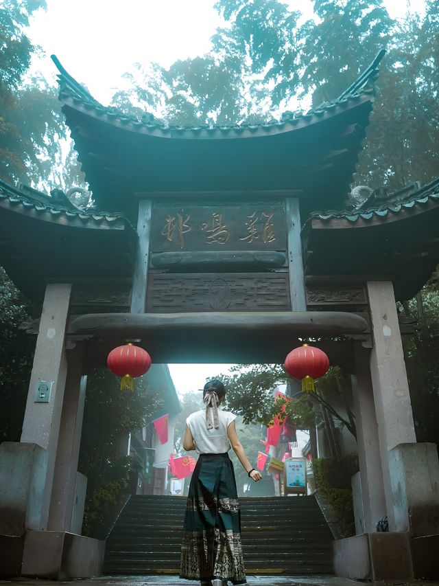 雨天的竹海火車像穿越了溧陽真實感受