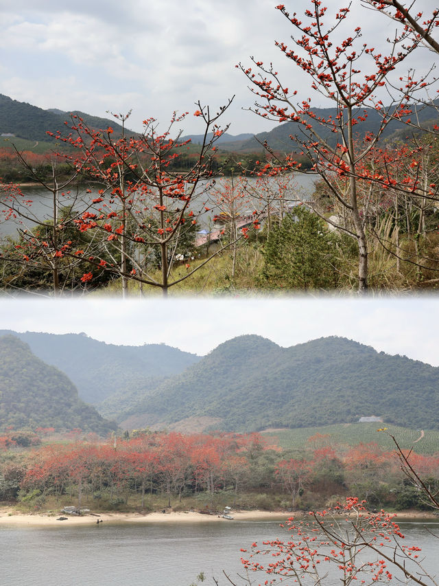 昌江小眾旅行地推薦赴一場春日的浪漫