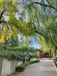 北京免費旅遊