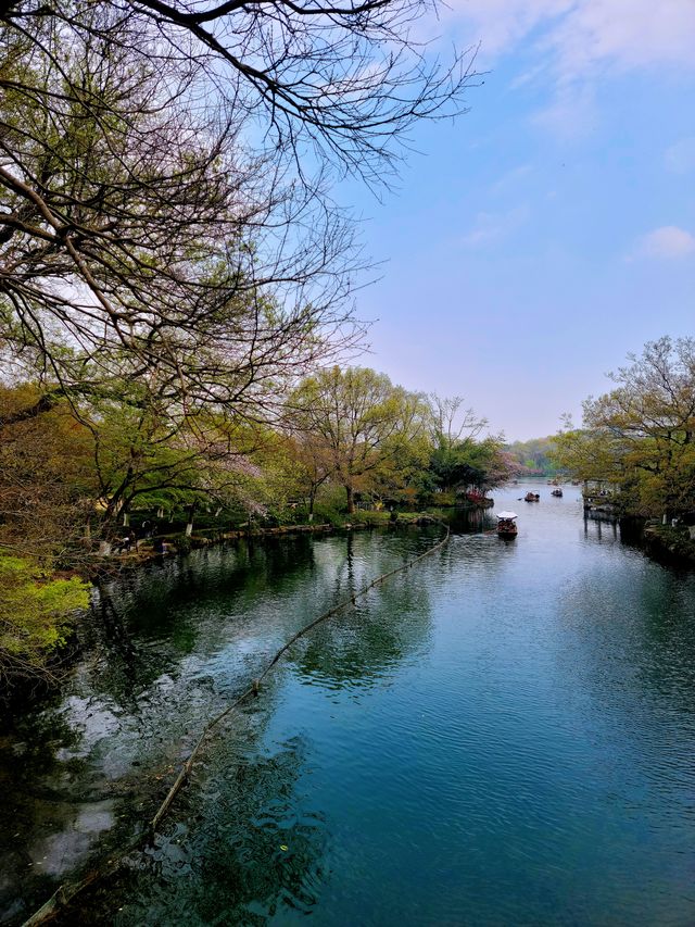 詩畫江南之花港觀魚