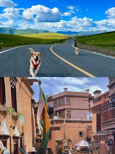 川西·丁真的故鄉天空之城·理塘勒通古鎮｜Trip.com 理塘