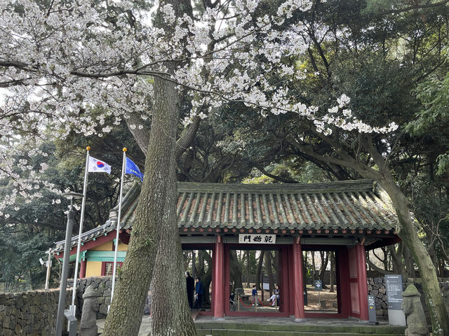 濟州市之行