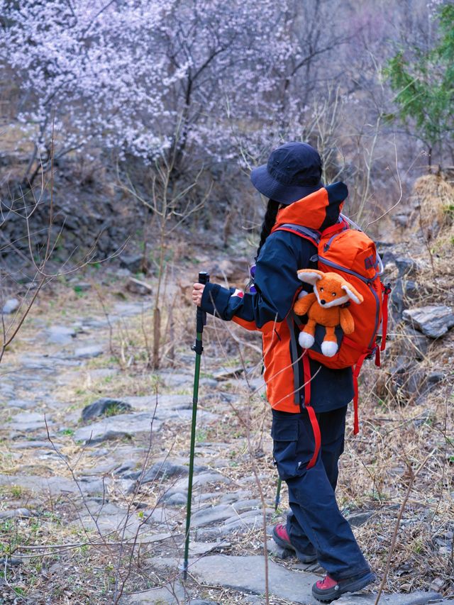北京徒步踏青賞花無難度路線｜醜兒嶺
