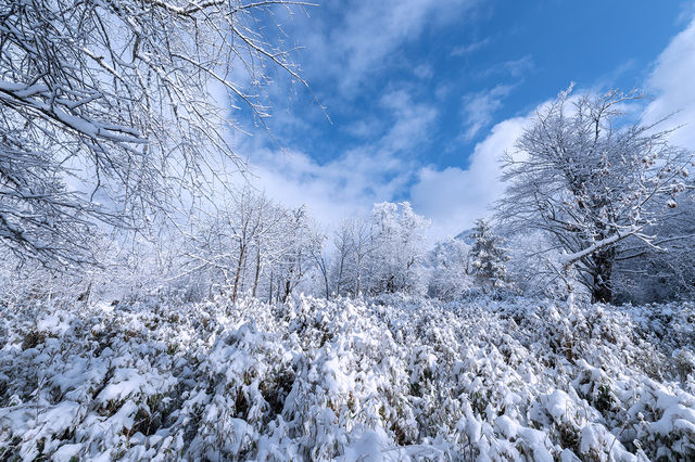 冬天的喇叭河美呆了！誤闖冰雪奇緣！