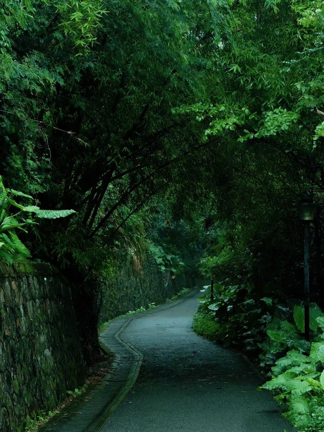深圳公園拍照|愛上雨天的綠色！孩子花海！