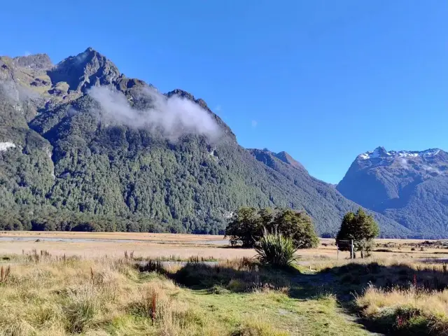 The beautiful Milford Sound