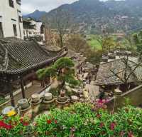 三月賞花去篁嶺，萬畝油菜花海