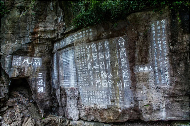 陽春三月，來夷陵遇見驚喜