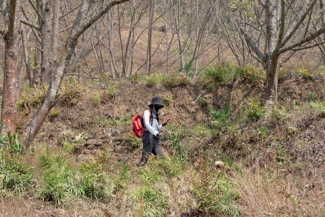 哀牢山小眾地徒步路線指南