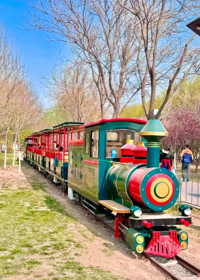 The Train to Spring | A perfect combo of park strolling and child-walking!