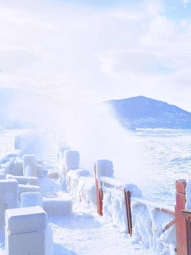 威海｜葡萄滩海水浴場｜北極圈威海分圈