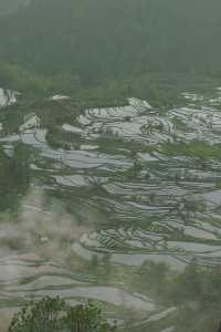 周末元陽梯田自駕兩日遊攻略