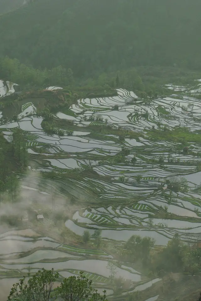 Weekend Self-Drive Two-Day Tour Guide to Yuanyang Rice Terraces