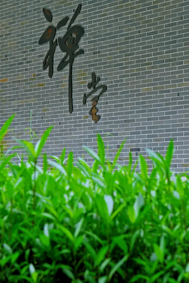 Yunfu Guide | Meditate in the Zen hall to gain insight and balance yourself during vacation