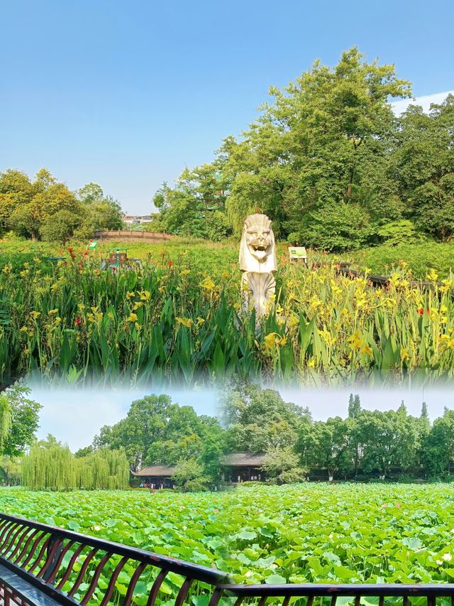 在成都丨唯一我想去無數次的公園！