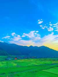杭州油菜花海：金色海洋，心靈療癒之地！