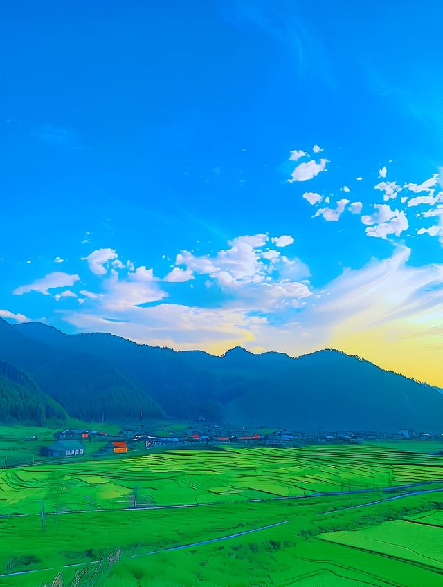 杭州油菜花海：金色海洋，心靈療癒之地！
