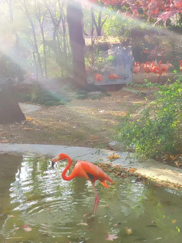 上海動物園從沒讓我失望過