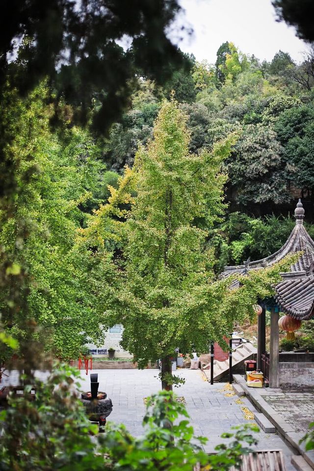 焦作周邊——月山寺