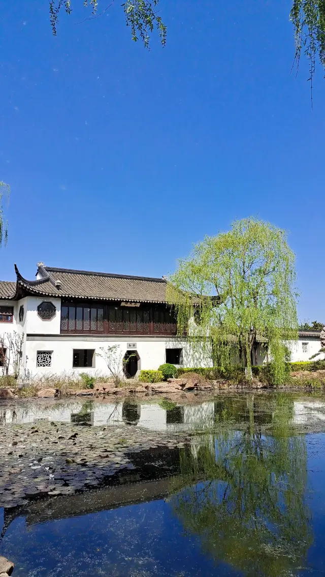 The garden in Jiangnan is blooming with bright purples and reds