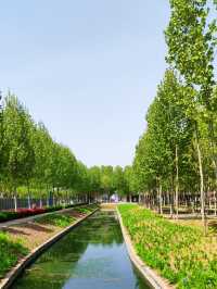 蘭陵國家蔬菜公園 一站式遊玩好去處 推薦打卡！