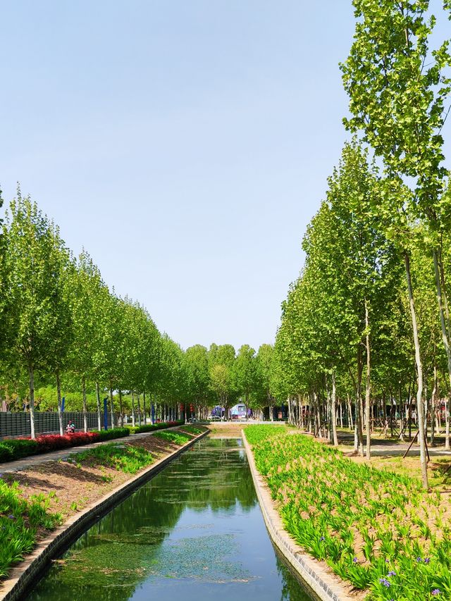 蘭陵國家蔬菜公園 一站式遊玩好去處 推薦打卡！